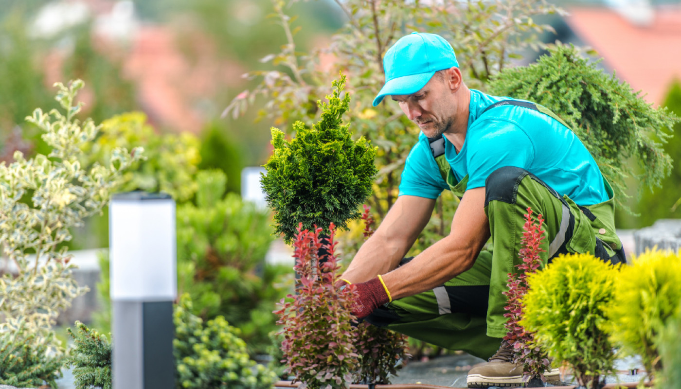 Jardin - Quels sont les prix moyens d'un paysagiste en Sarthe ?