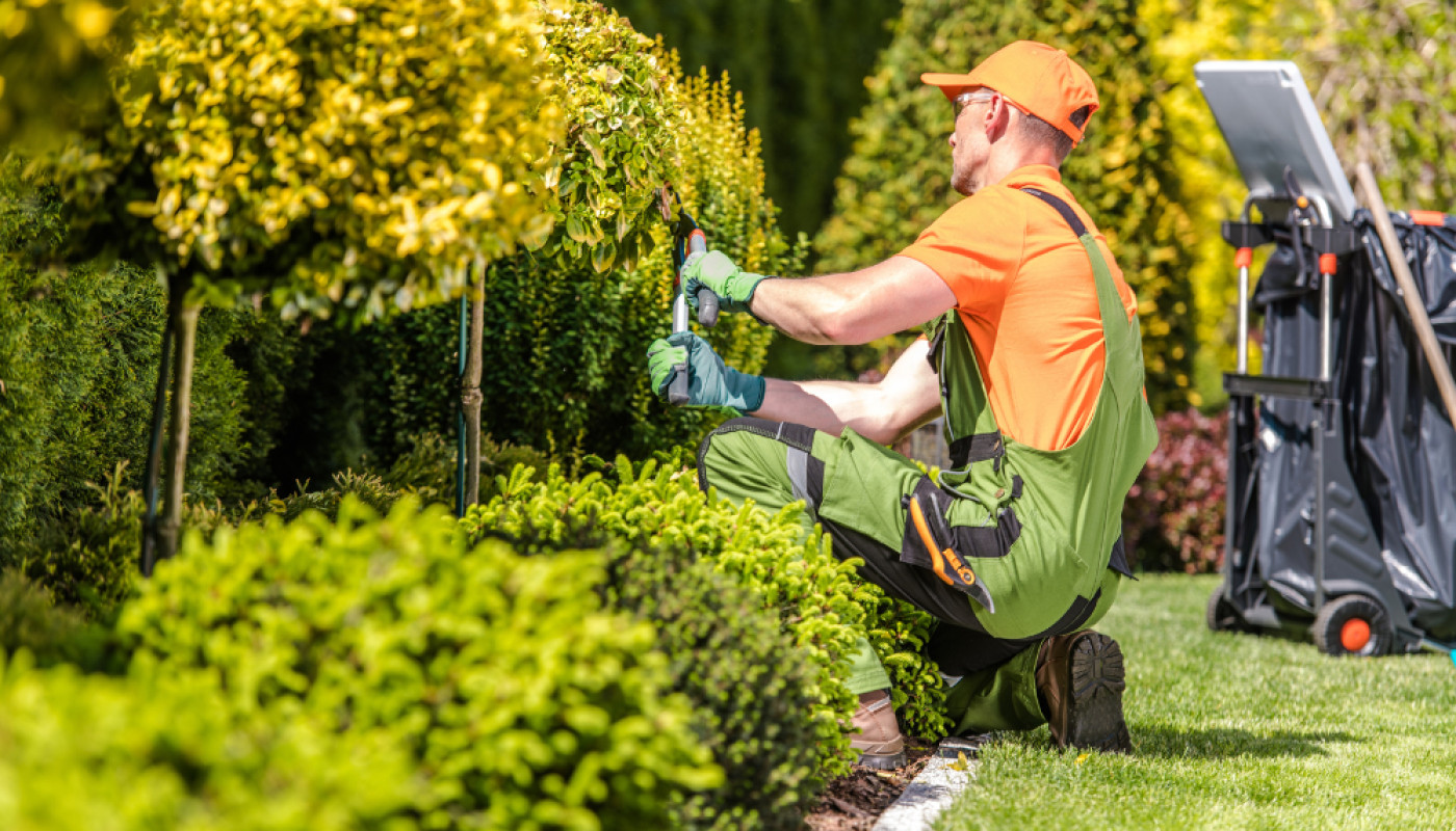 Jardin - Trouver le bon paysagiste à Vanves : spécificités de l'aménagement paysager en proche banlieue